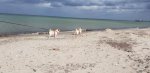 IMG-20180622-WA0005.jpg