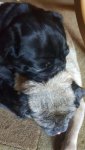 20180715_103300.jpg 20180715_103300.jpg