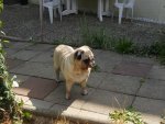 20180826_113034.jpg