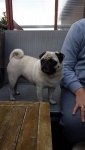IMG-20180915-WA0017.jpg IMG-20180915-WA0017.jpg