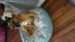 20181105_093159.jpg