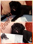 PicsArt_12-14-01.16.09.jpg