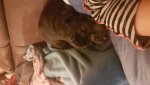 20181228_214318.jpg