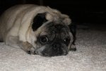 IMG_8374.jpg