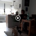 608779E3-8C15-499B-93AC-345586B3F909.jpeg