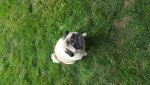 20190807_184411.jpg 20190807_184411.jpg