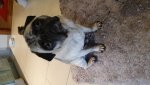 IMG-20190927-WA0012.jpg