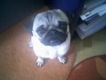 Foto-0044.jpg