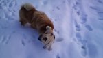 DSC00162.jpg