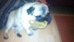 DSC00154.jpg
