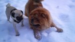DSC00164.jpg
