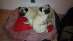 DSC00172.jpg