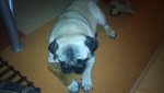 DSC00155.jpg