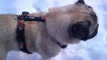 DSC00165.jpg