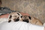 DSC00849.jpg