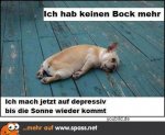 mops3.jpg
