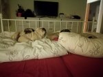 Bande_im_bett.jpg