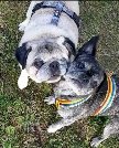 20191218_182805-432x538-108x134.jpg