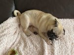 Missy7.jpg