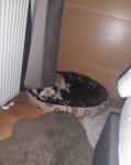 20200821_105853.jpg