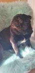 IMG-20201004-WA0011.jpg