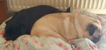 IMG-20201004-WA0010.jpg