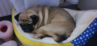 IMG-20201129-WA0059.jpg