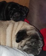 IMG-20201221-WA0008.jpg