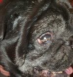 IMG-20201221-WA0007.jpg