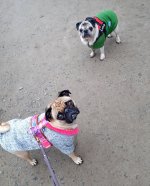 20201222_115146.jpg