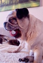 20201222_115133.jpg