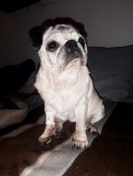 20201222_115108.jpg