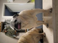 22C7679D-C36F-4189-BD3A-0414D21EABB2.jpeg