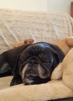 IMG_20220404_083818_368.jpg