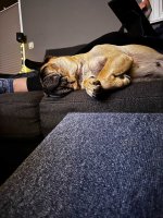 IMG_1018.jpg