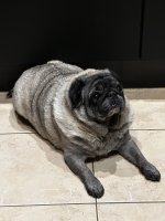 Earl 1.jpg