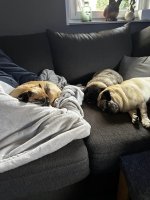 Foto 12.jpg