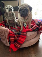 IMG_4087.jpeg