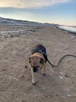 IMG_4788.jpeg