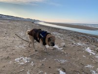 IMG_4790.jpeg