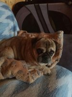 IMG_4791.jpeg