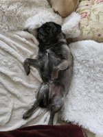 IMG-20240523-WA0057.jpg