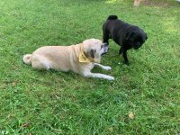 IMG_5750.jpeg