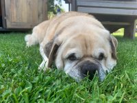 IMG_6276.jpeg