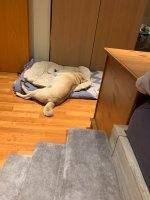 IMG_6275.jpeg