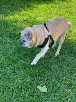 IMG_6379.jpeg