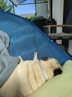 K800_IMG_20240915_150757.JPG