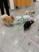 K800_IMG_20240618_130533.JPG