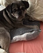 IMG_4728.jpeg
