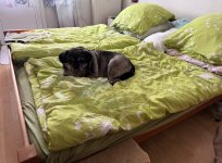 IMG_4731.jpeg